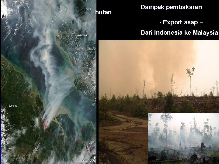 hutan Dampak pembakaran - Export asap – Dari Indonesia ke Malaysia 