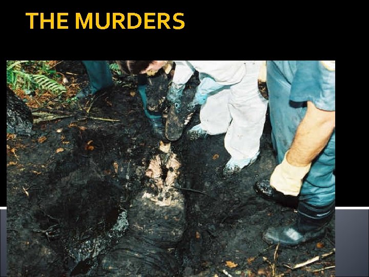 THE MURDERS 