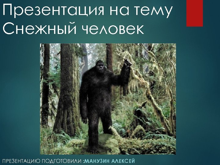 Презентация на тему Снежный человек ПРЕЗЕНТАЦИЮ ПОДГОТОВИЛИ : МАНУЗИН АЛЕКСЕЙ 