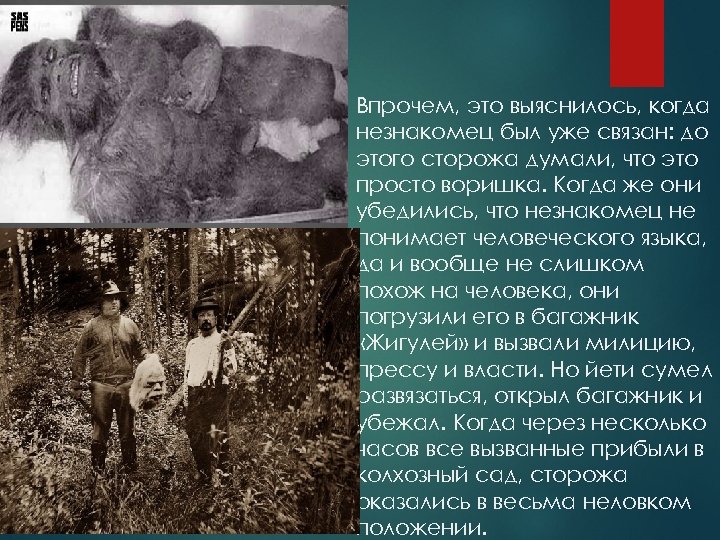 Впрочем, это выяснилось, когда незнакомец был уже связан: до этого сторожа думали, что это