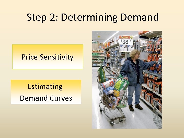 Step 2: Determining Demand Price Sensitivity Estimating Demand Curves 