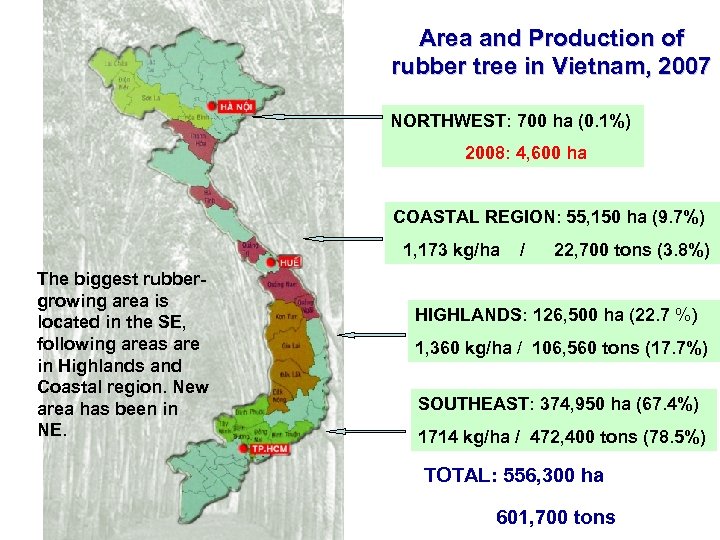 Area and Production of rubber tree in Vietnam, 2007 NORTHWEST: 700 ha (0. 1%)