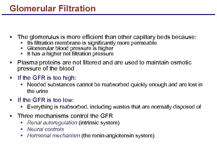 Glomerular Filtration § The glomerulus is more efficient than other capillary beds because: §