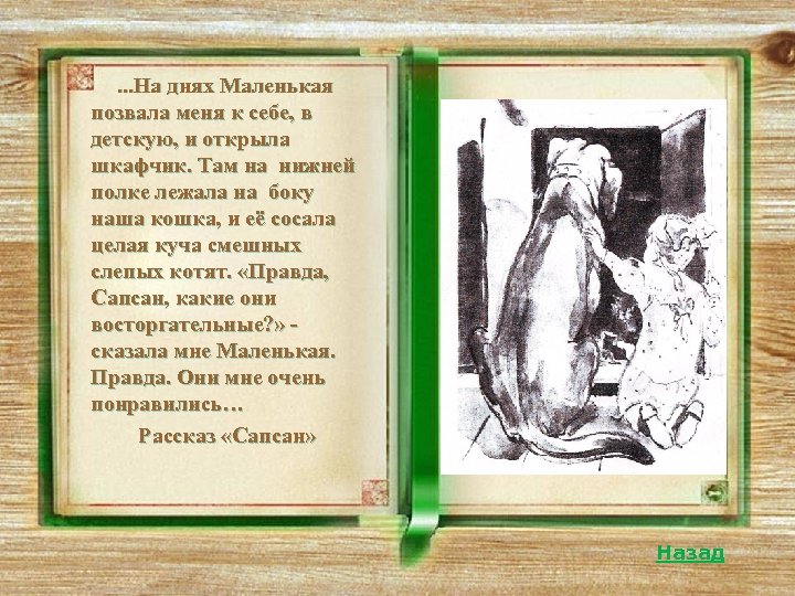 . . . На днях Маленькая позвала меня к себе, в детскую, и открыла