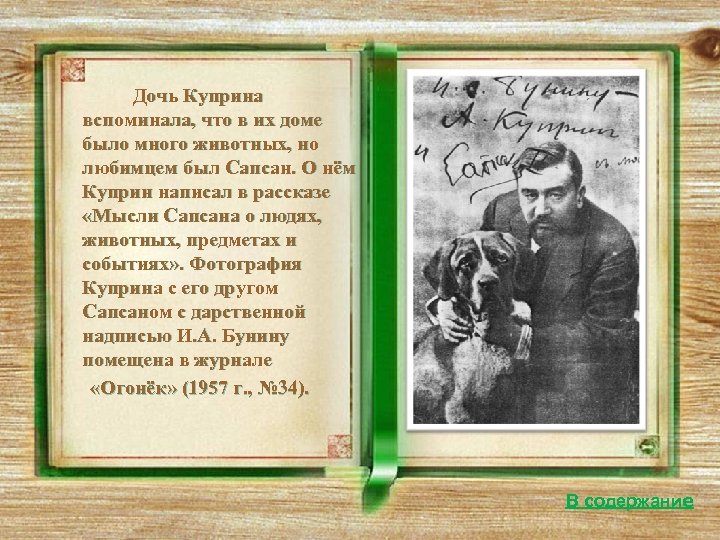 Дочь Куприна вспоминала, что в их доме было много животных, но любимцем был Сапсан.