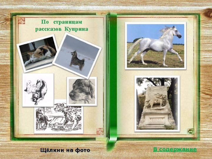 По страницам рассказов Куприна Щёлкни на фото В содержание 
