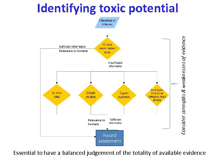 Relevance to humans Hazard assessment Consider strengths & weaknesses of evidence Identifying toxic potential