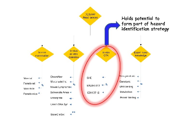 Holds potential to form part of hazard identification strategy 