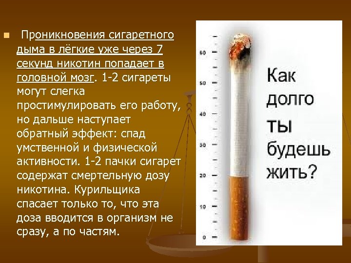 n Проникновения сигаретного дыма в лёгкие уже через 7 секунд никотин попадает в головной