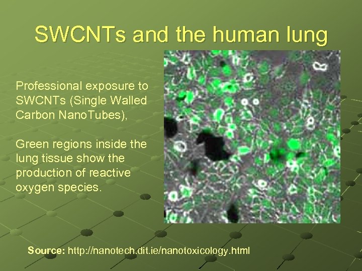 SWCNTs and the human lung Professional exposure to SWCNTs (Single Walled Carbon Nano. Tubes),