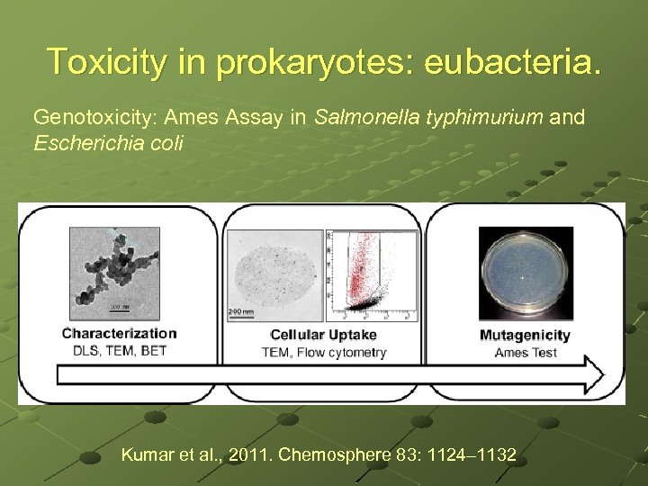 Toxicity in prokaryotes: eubacteria. Genotoxicity: Ames Assay in Salmonella typhimurium and Escherichia coli Kumar