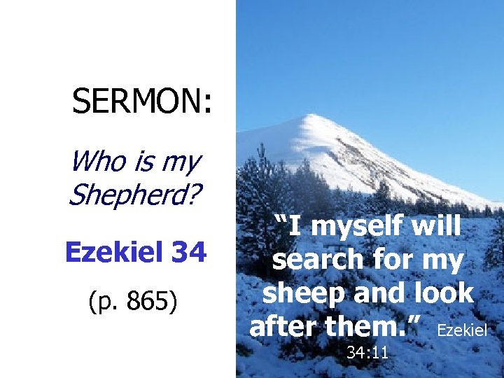  SERMON: Who is my Shepherd? Ezekiel 34 (p. 865) “I myself will search