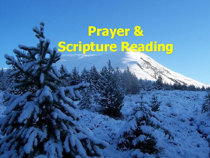 Prayer & Scripture Reading 