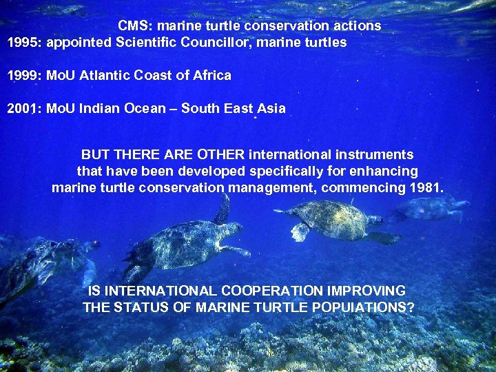 CMS: marine turtle conservation actions 1995: appointed Scientific Councillor, marine turtles 1999: Mo. U