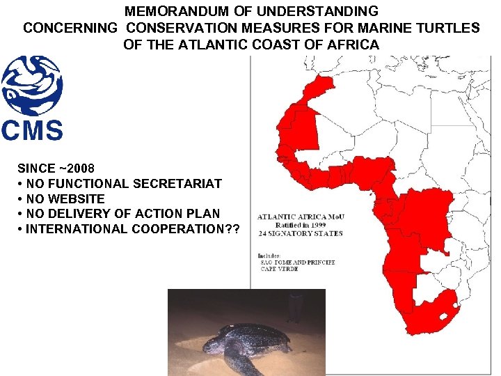 MEMORANDUM OF UNDERSTANDING CONCERNING CONSERVATION MEASURES FOR MARINE TURTLES OF THE ATLANTIC COAST OF