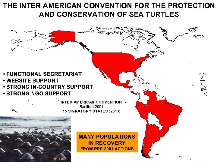 THE INTER AMERICAN CONVENTION FOR THE PROTECTION AND CONSERVATION OF SEA TURTLES • FUNCTIONAL