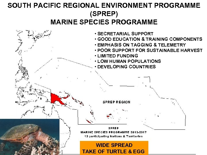 SOUTH PACIFIC REGIONAL ENVIRONMENT PROGRAMME (SPREP) MARINE SPECIES PROGRAMME • SECRETARIAL SUPPORT • GOOD