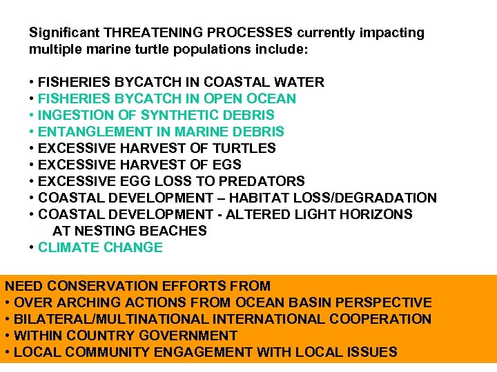 Significant THREATENING PROCESSES currently impacting multiple marine turtle populations include: • FISHERIES BYCATCH IN