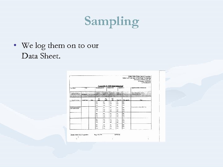 Sampling • We log them on to our Data Sheet. 