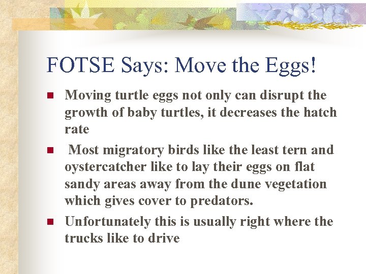 FOTSE Says: Move the Eggs! n n n Moving turtle eggs not only can