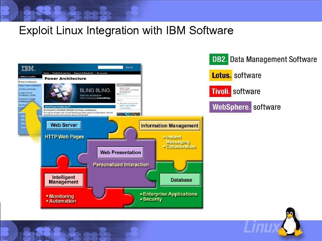 Exploit Linux Integration with IBM Software 