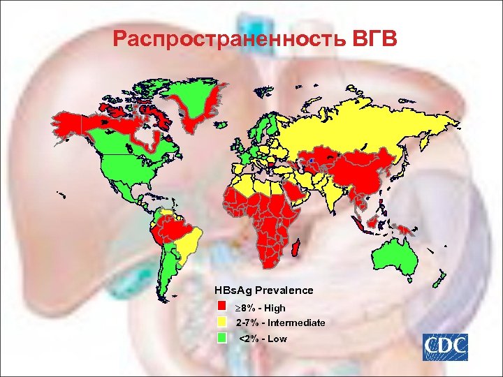 Распространенность ВГВ HBs. Ag Prevalence 8% - High 2 -7% - Intermediate <2% -
