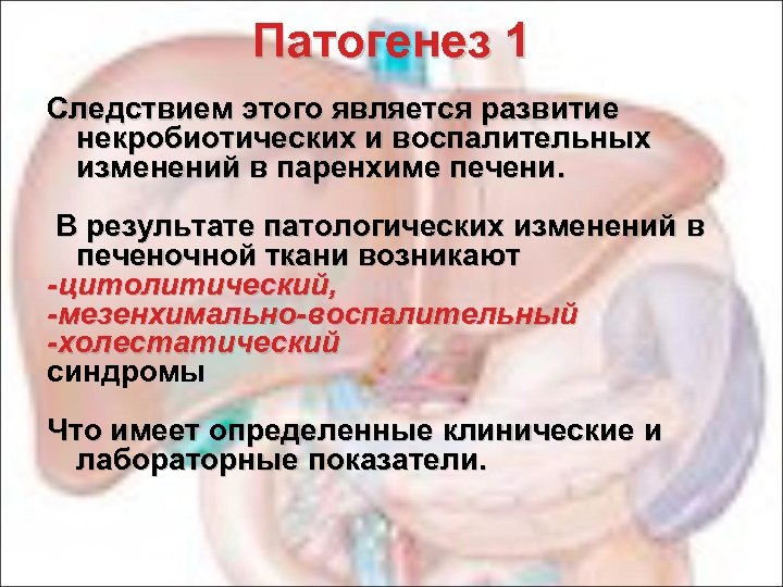 Патогенез 1 Следствием этого является развитие некробиотических и воспалительных изменений в паренхиме печени. В