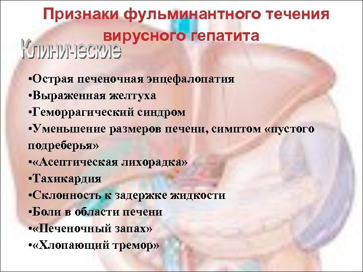 Признаки фульминантного течения вирусного гепатита • Острая печеночная энцефалопатия • Выраженная желтуха • Геморрагический