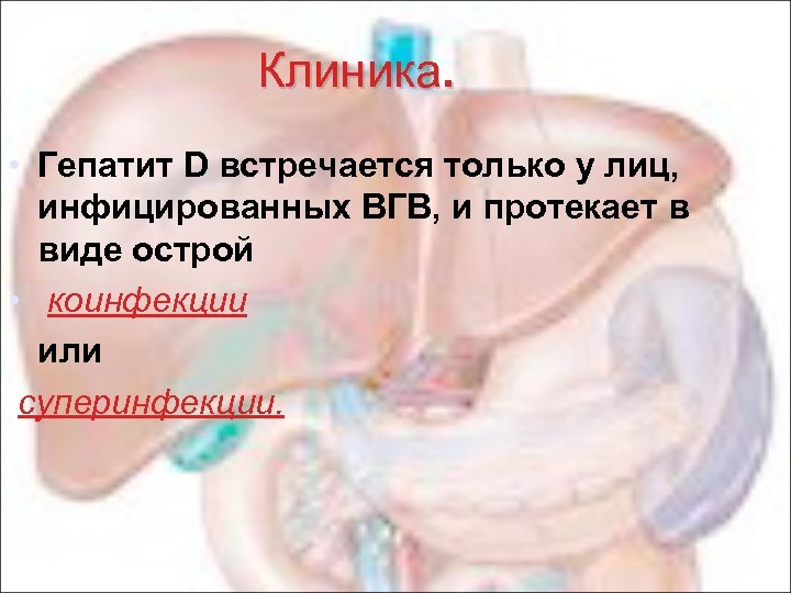 Клиника. • Гепатит D встречается только у лиц, инфицированных ВГВ, и протекает в виде