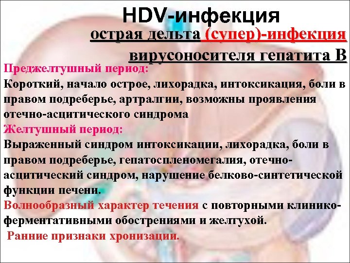 HDV-инфекция острая дельта (супер)-инфекция вирусоносителя гепатита В В Преджелтушный период: Короткий, начало острое, лихорадка,