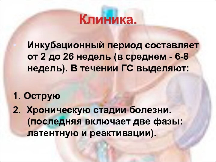 Клиника. • Инкубационный период составляет от 2 до 26 недель (в среднем - 6