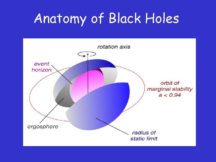 Anatomy of Black Holes 