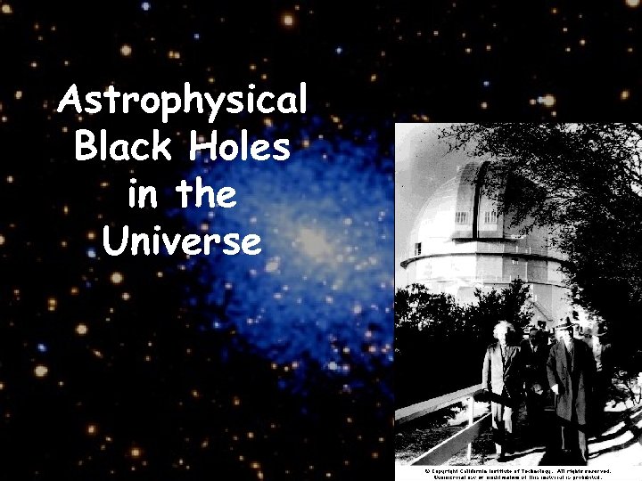 Astrophysical Black Holes in the Universe 