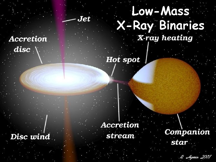 Low-Mass X-Ray Binaries 