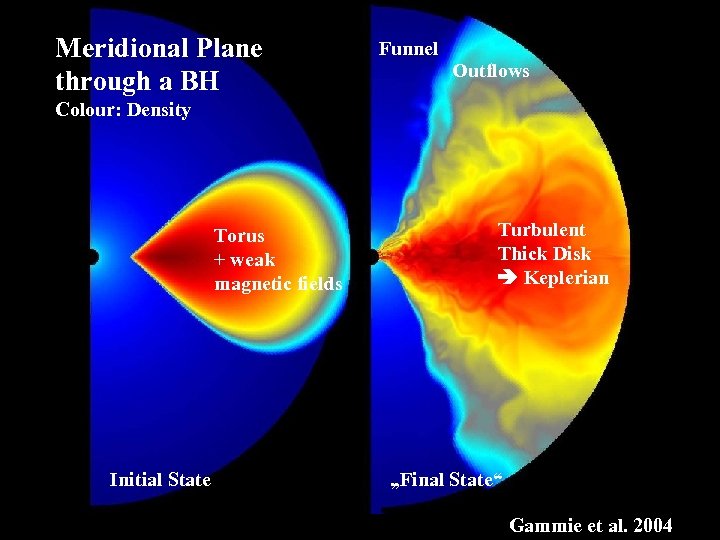 Meridional Plane through a BH Funnel Outflows Colour: Density Torus + weak magnetic fields