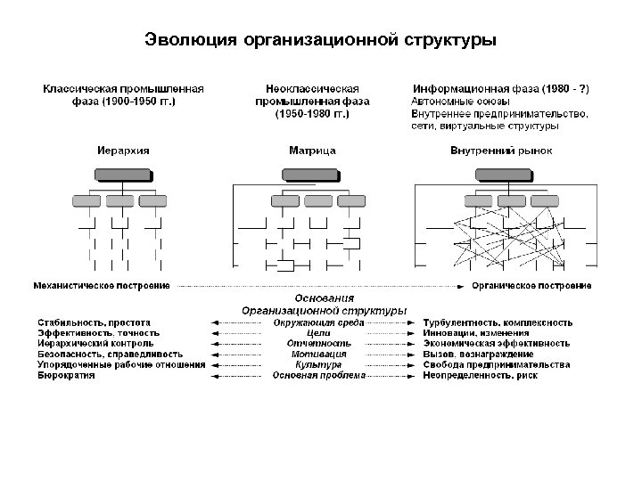 Эволюция организационной структуры 