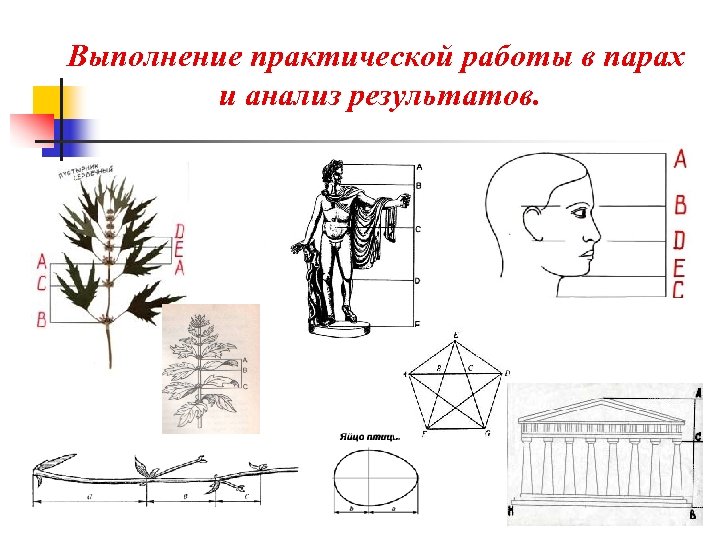 Выполнение практической работы в парах и анализ результатов. 