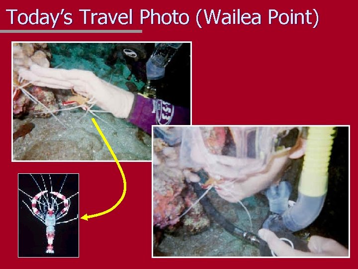 Today’s Travel Photo (Wailea Point) 