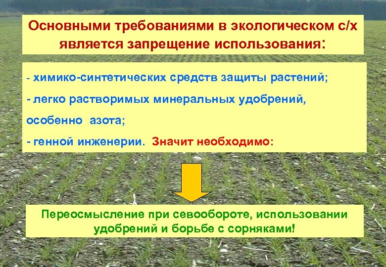 Основными требованиями в экологическом с/х является запрещение использования: - химико-синтетических средств защиты растений; -