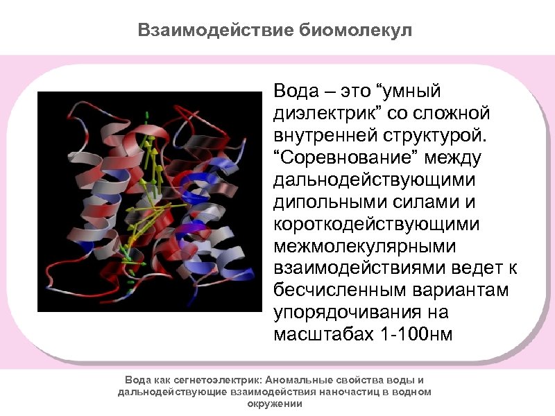 Взаимодействие биомолекул Вода – это “умный диэлектрик” со сложной внутренней структурой. “Соревнование” между дальнодействующими