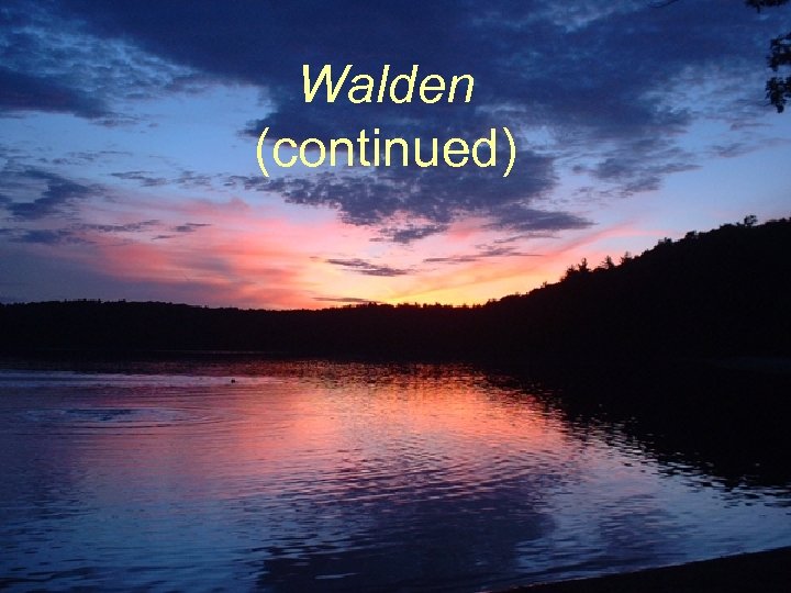 Walden (continued) 