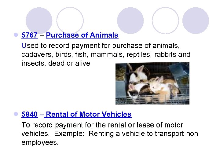 l 5767 – Purchase of Animals Used to record payment for purchase of animals,
