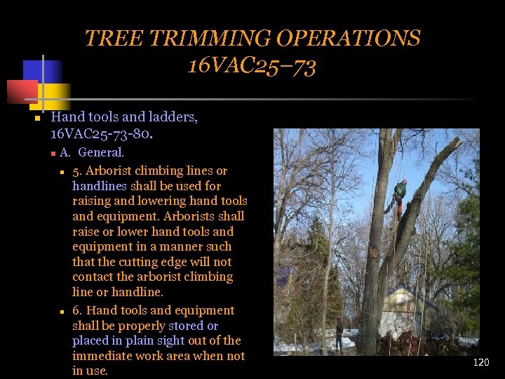 TREE TRIMMING OPERATIONS 16 VAC 25– 73 n Hand tools and ladders, 16 VAC