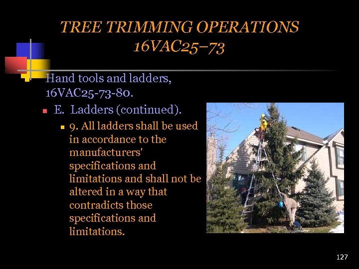 TREE TRIMMING OPERATIONS 16 VAC 25– 73 n Hand tools and ladders, 16 VAC