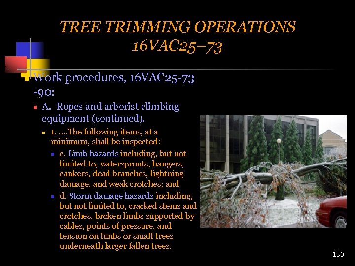 TREE TRIMMING OPERATIONS 16 VAC 25– 73 n Work procedures, 16 VAC 25 -73