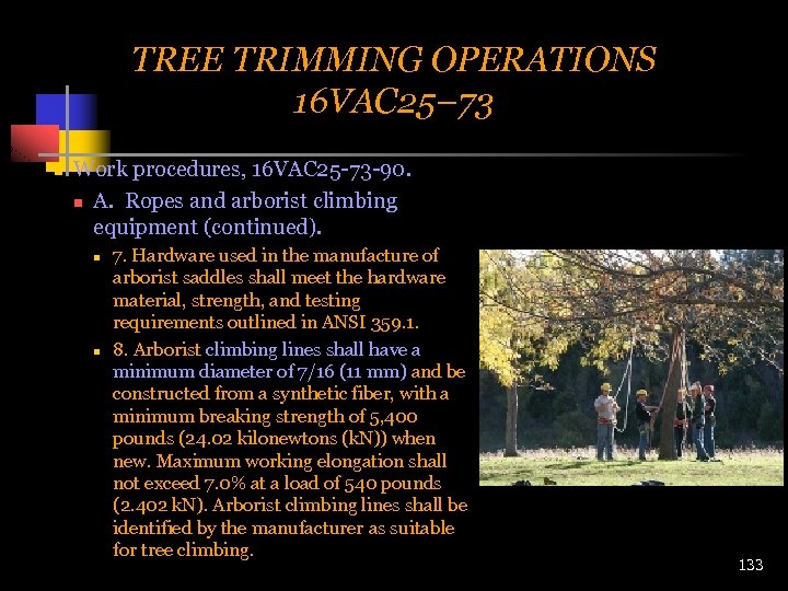 TREE TRIMMING OPERATIONS 16 VAC 25– 73 n Work procedures, 16 VAC 25 -73