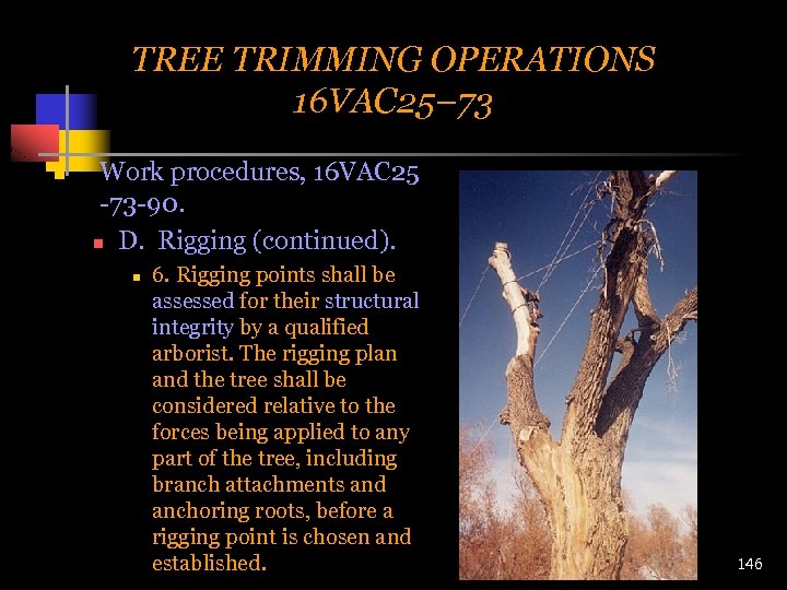 TREE TRIMMING OPERATIONS 16 VAC 25– 73 n Work procedures, 16 VAC 25 -73