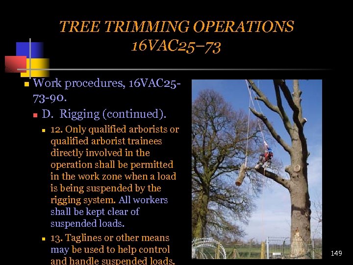 TREE TRIMMING OPERATIONS 16 VAC 25– 73 n Work procedures, 16 VAC 2573 -90.