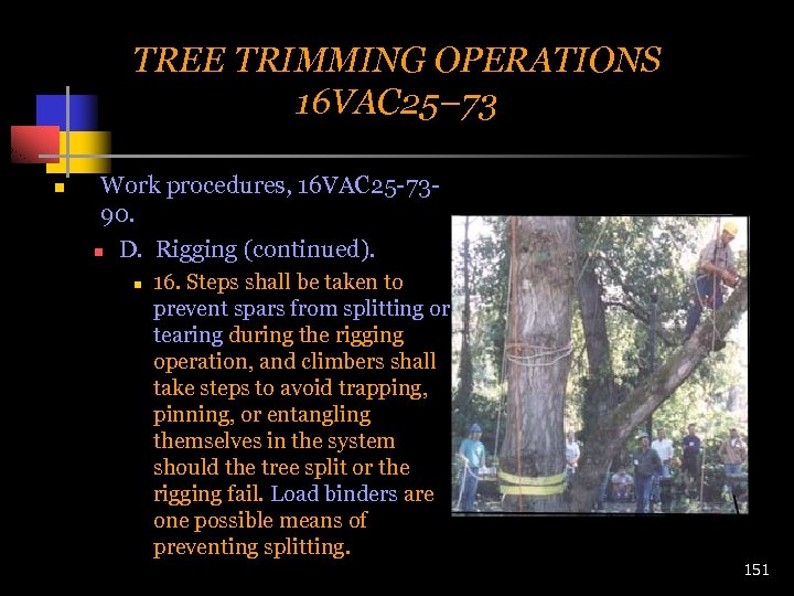 TREE TRIMMING OPERATIONS 16 VAC 25– 73 n Work procedures, 16 VAC 25 -7390.