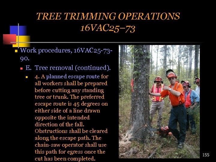 TREE TRIMMING OPERATIONS 16 VAC 25– 73 n Work procedures, 16 VAC 25 -7390.